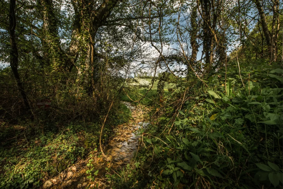 Humbligny, un gué sur le Rû