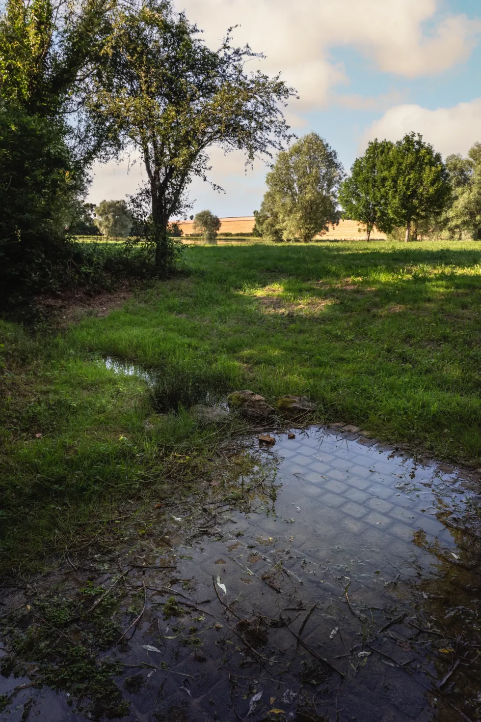 Humbligny, la Source de la Grande Sauldre