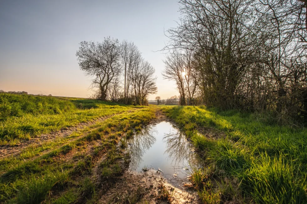 Neuvy-Deux-Clochers, sur les chemins