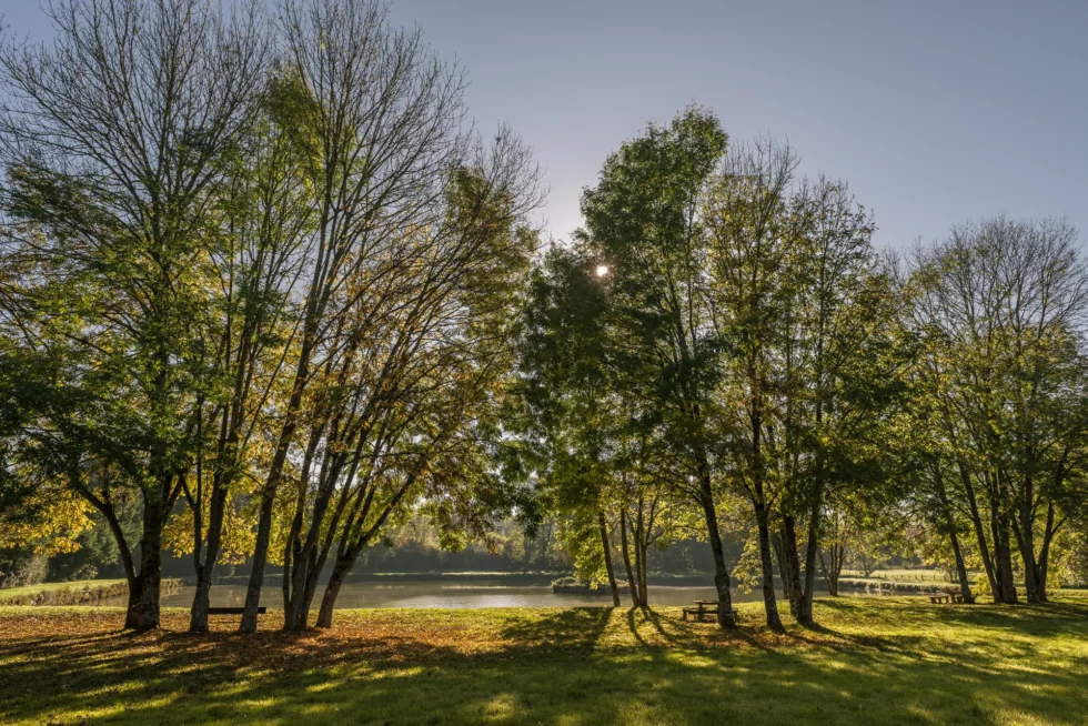 Neuvy-Deux-Clochers, l'étang