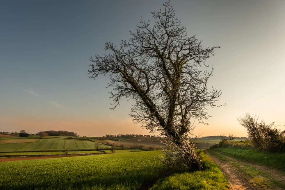 Neuvy-Deux-Clochers, sur la route de la Jarrerie.