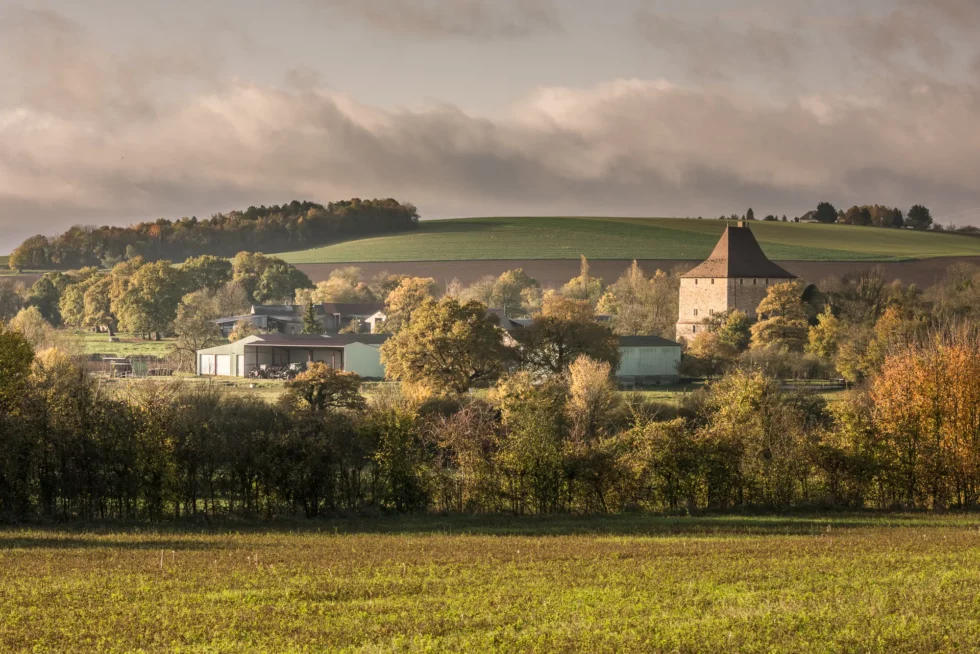 Neuvy-Deux-Clochers, site de Vesvre