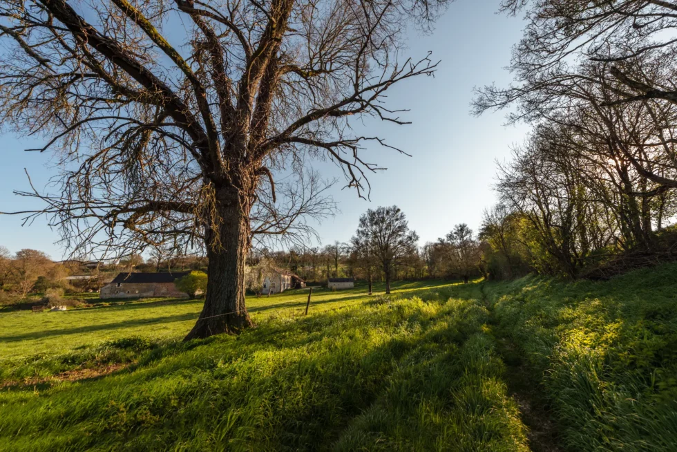 Neuvy-Deux-Clochers, vers le Bouchet