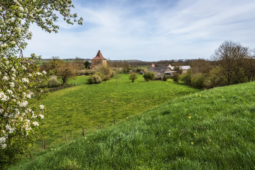 Neuvy-Deux-Clochers, la motte castrale de Vesvre