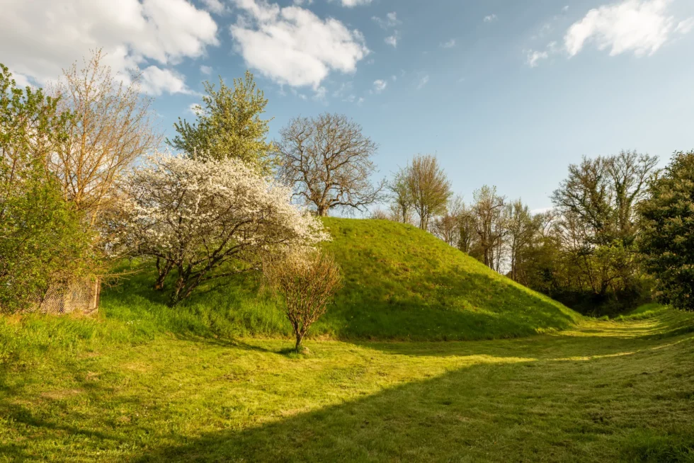 Neuvy-Deux-Clochers, site de Vesvre, la motte castrale